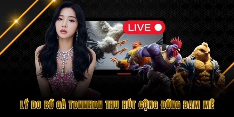 L&yacute; do bồ g&agrave; Tonnhon thu h&uacute;t cộng đồng đam m&ecirc;