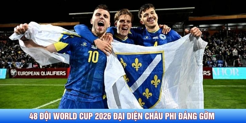 48 đội World Cup 2026 nhận định đại diện châu Phi đáng gờm