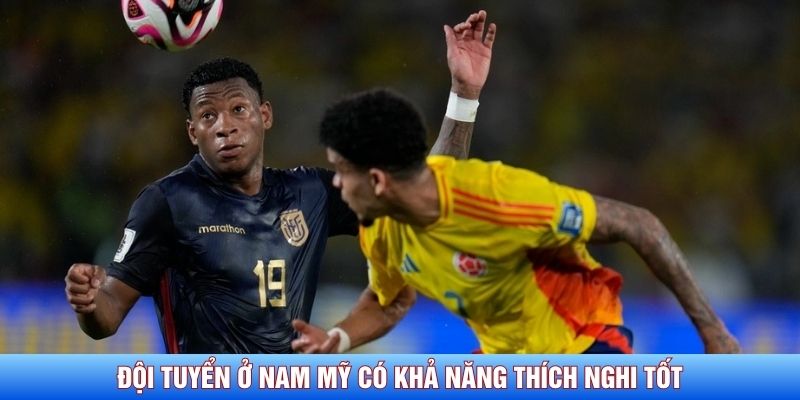 Đội tuyển ở Nam Mỹ c&oacute; khả năng th&iacute;ch nghi tốt